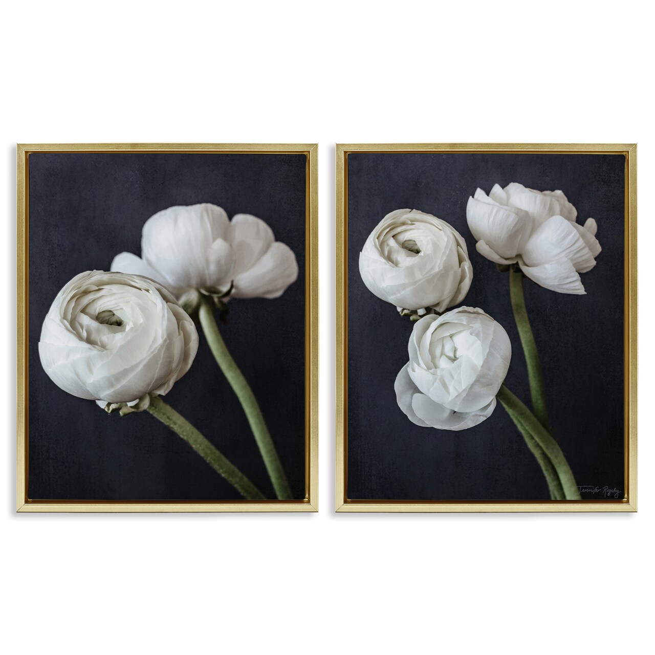 Stupell Industries Simple Black & White Peony 2 pc Framed Floater Canvas Wall Art Set Design by Jennifer Rigsby